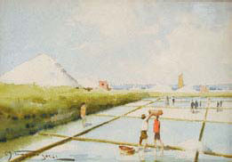 “SALINAS - AVEIRO”,