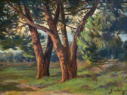 “PAISAGEM - ÁRVORES”,