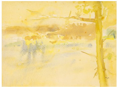 Rio Douro visto de casa do artista