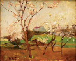 Paisagem 