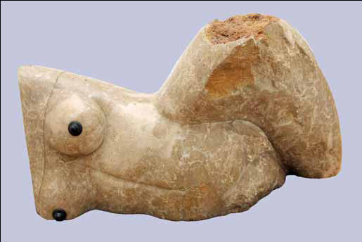 TORSO FEMININO