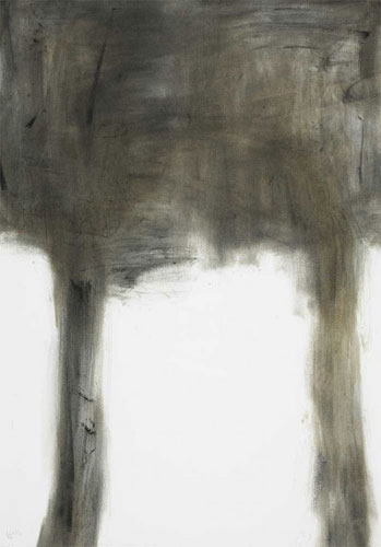 Sem título - Série: "O que os Olhos Vêem"