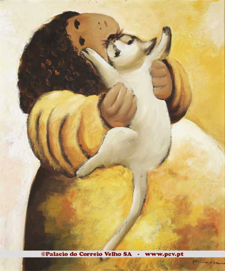 O gato