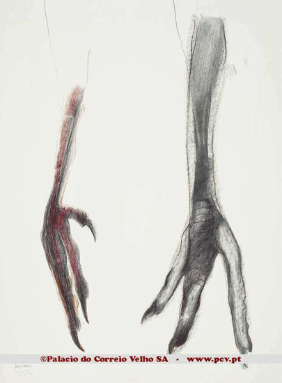 Perdizes 1983 IV