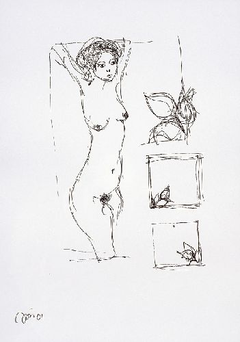 Nu feminino