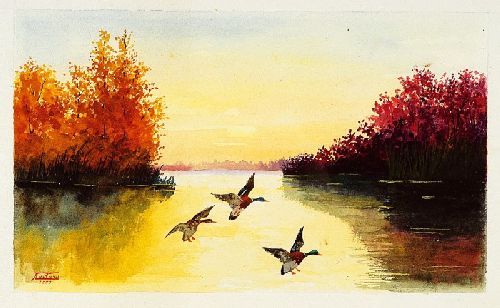 Patos