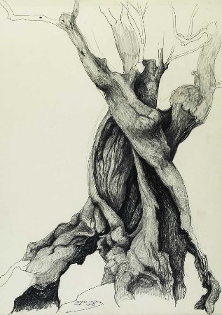 Sem título - Tronco de árvore