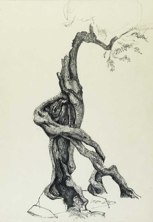 Sem título - Árvore