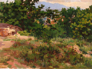 "PAISAGEM BUCÓLICA" EM VISEU