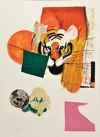 "O tigre e a tartaruga"