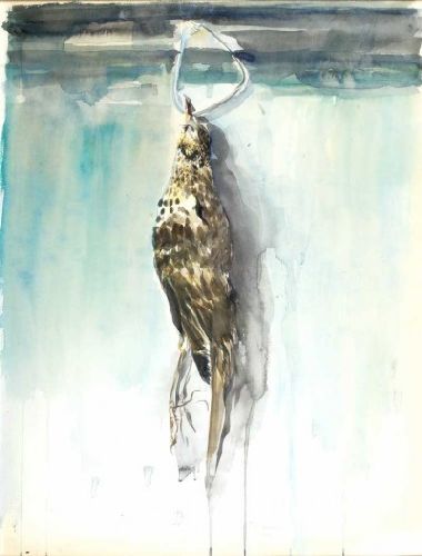 Natureza morta - Tordo