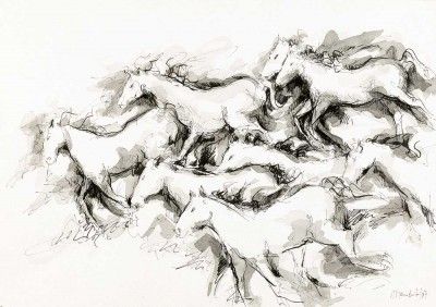 Sem título - Cavalos