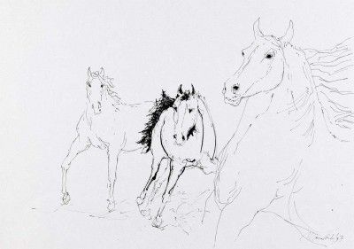 Sem título - Cavalos