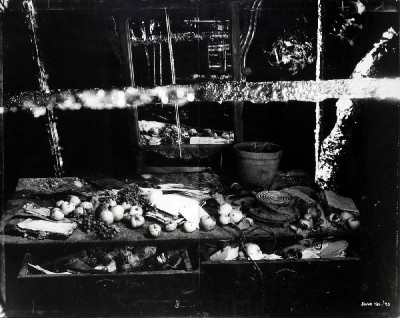 Sem título - Natureza Morta