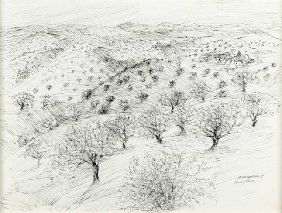 Sem título - Torres Novas