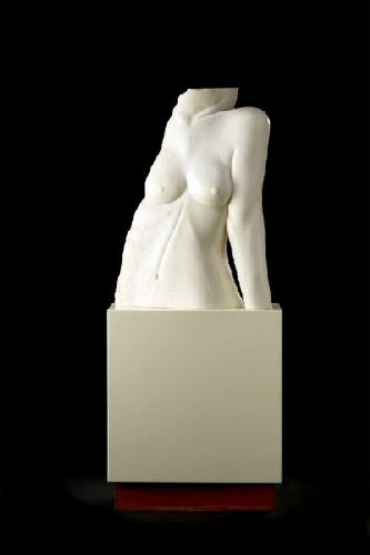 Torso feminino