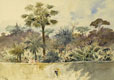 Bussaco Julho Agosto 1904